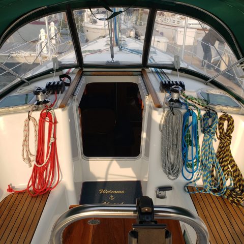 Oasis Fwd Cockpit View