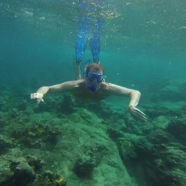 a person swimming in a body of water