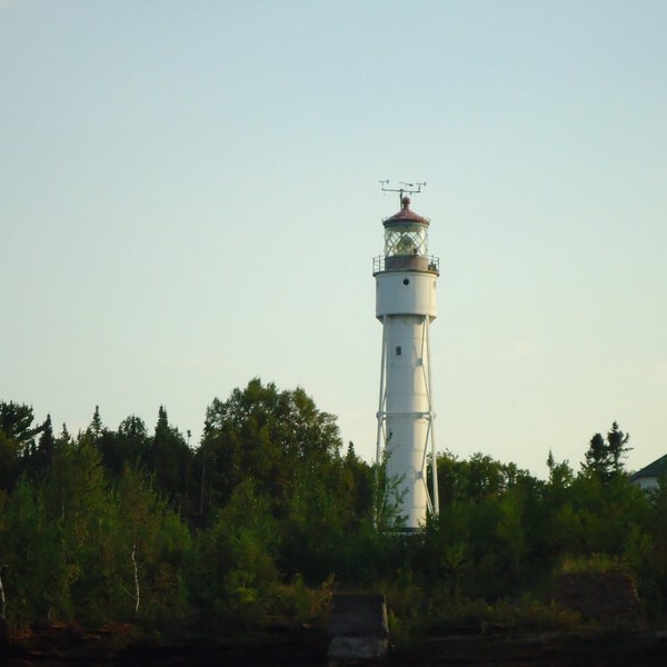 a clock tower in the middle of a forest