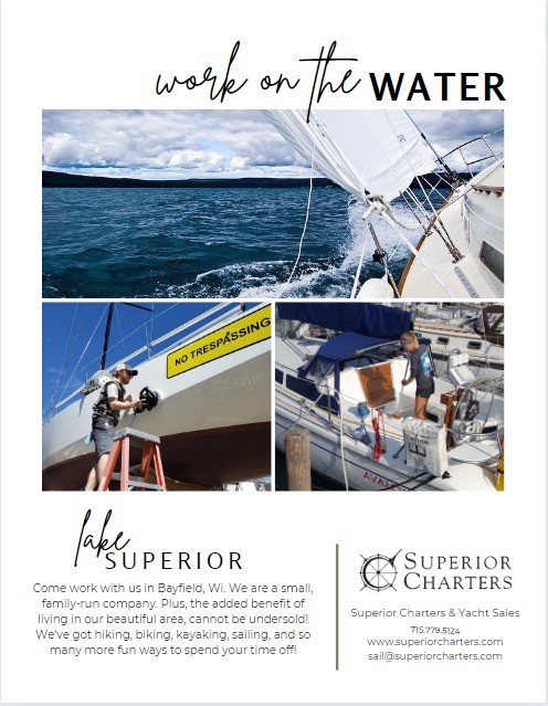 graphical user interface, website